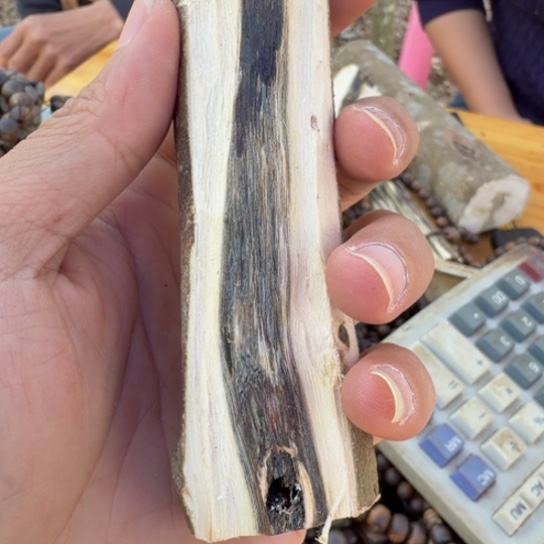 沉香碎屑沉香奇楠块料多样性发一