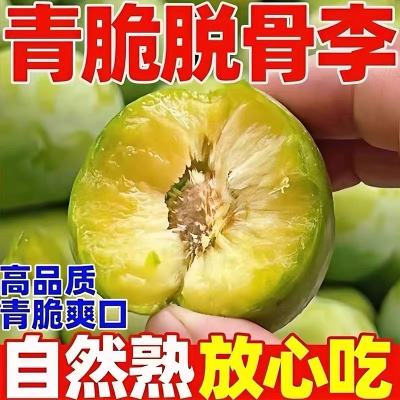 【现摘现采】正宗脱骨青脆李新鲜应季水果脆甜多汁现摘现采