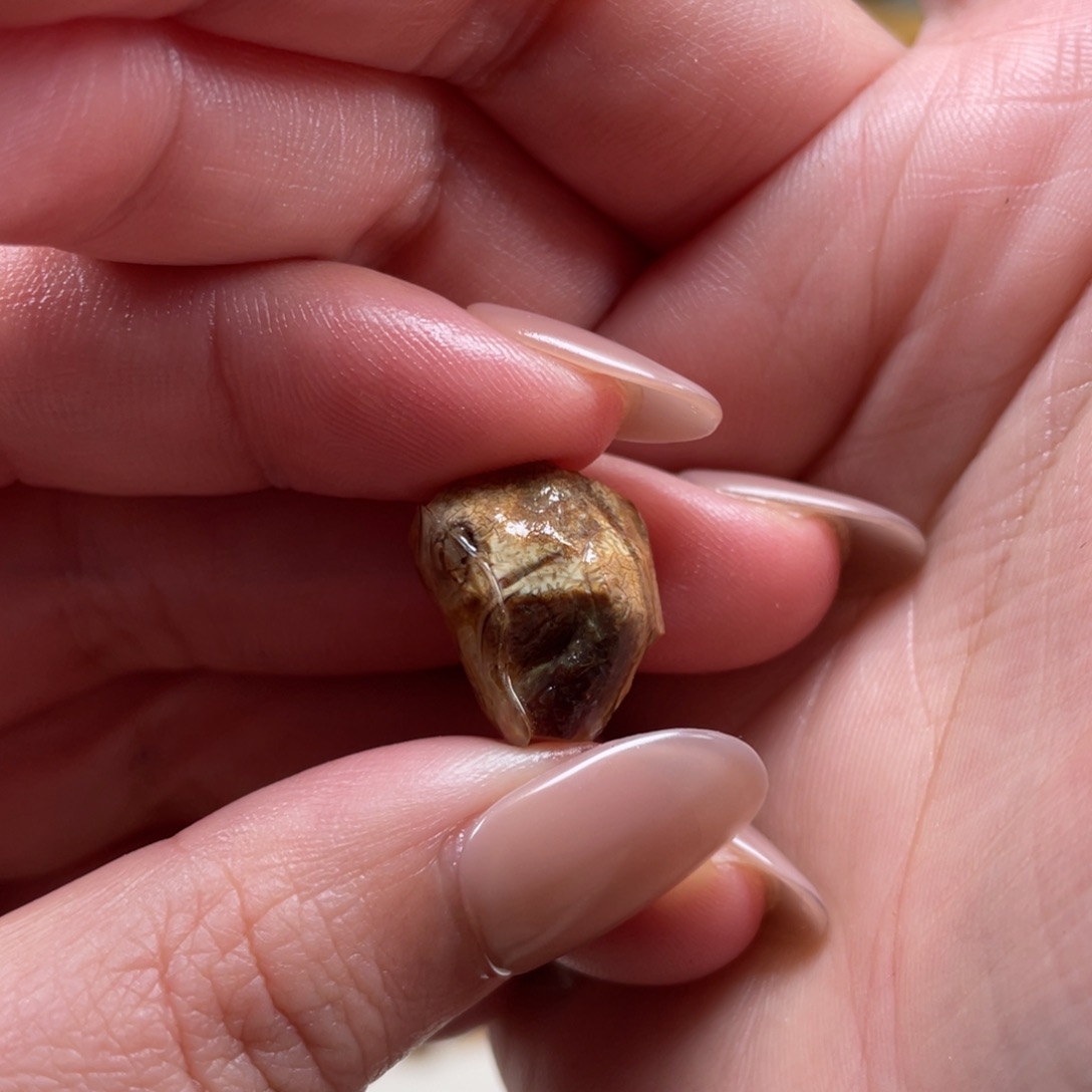 l***k定制琥珀未镶嵌天然蜜蜡原石