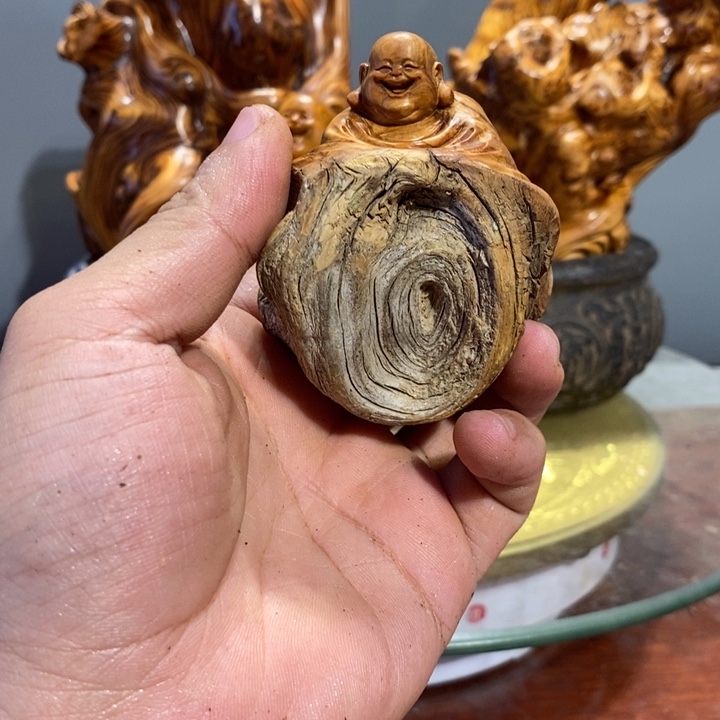 小***伟香榧木崖柏等自然景区的