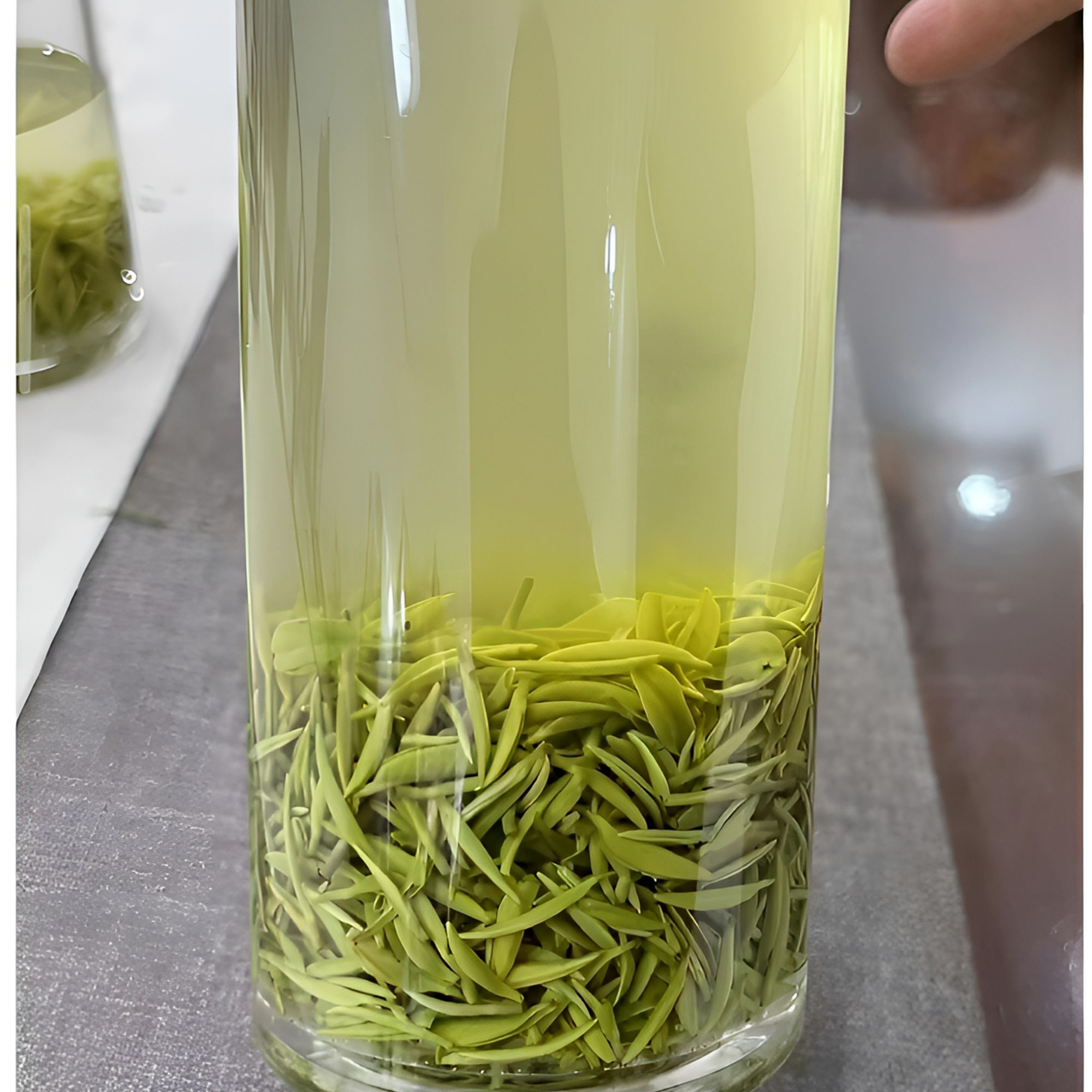 信阳毛尖【2025新茶】明前茶叶自产自销正宗毛尖特级绿茶小芽500g