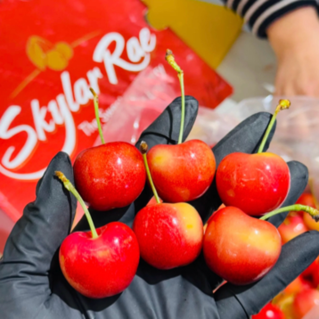 天空之城斯凯拉蕾车厘子3J 500G 空运斯凯拉蕾智利