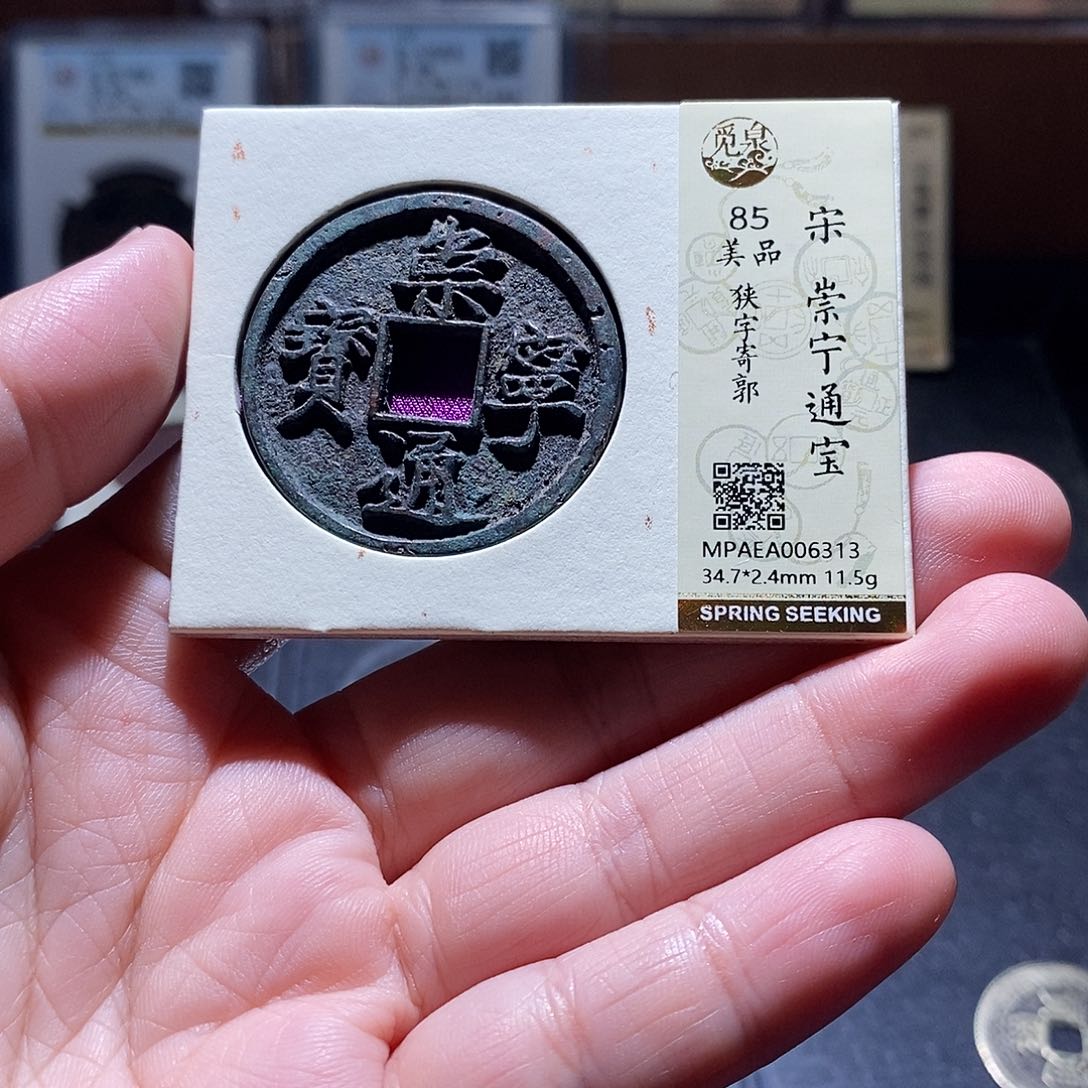贝壳19 恭喜发财恭喜发财