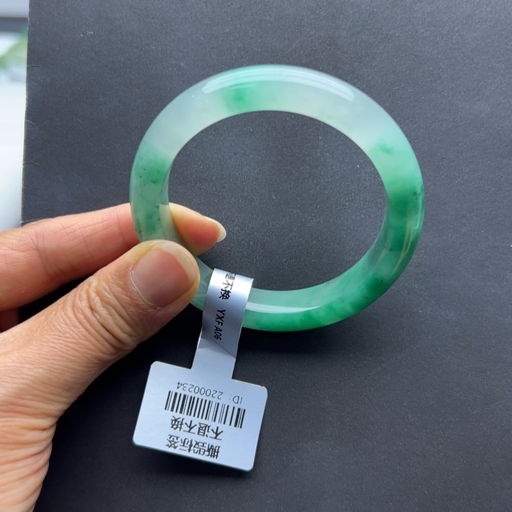 石英质玉未镶嵌手镯燕子➕51.3