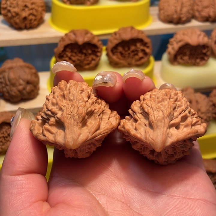 官方网站发布消息