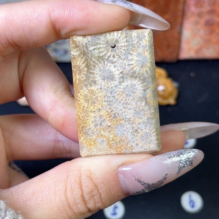 硅化珊瑚（珊瑚玉）珠宝金石合金只***人