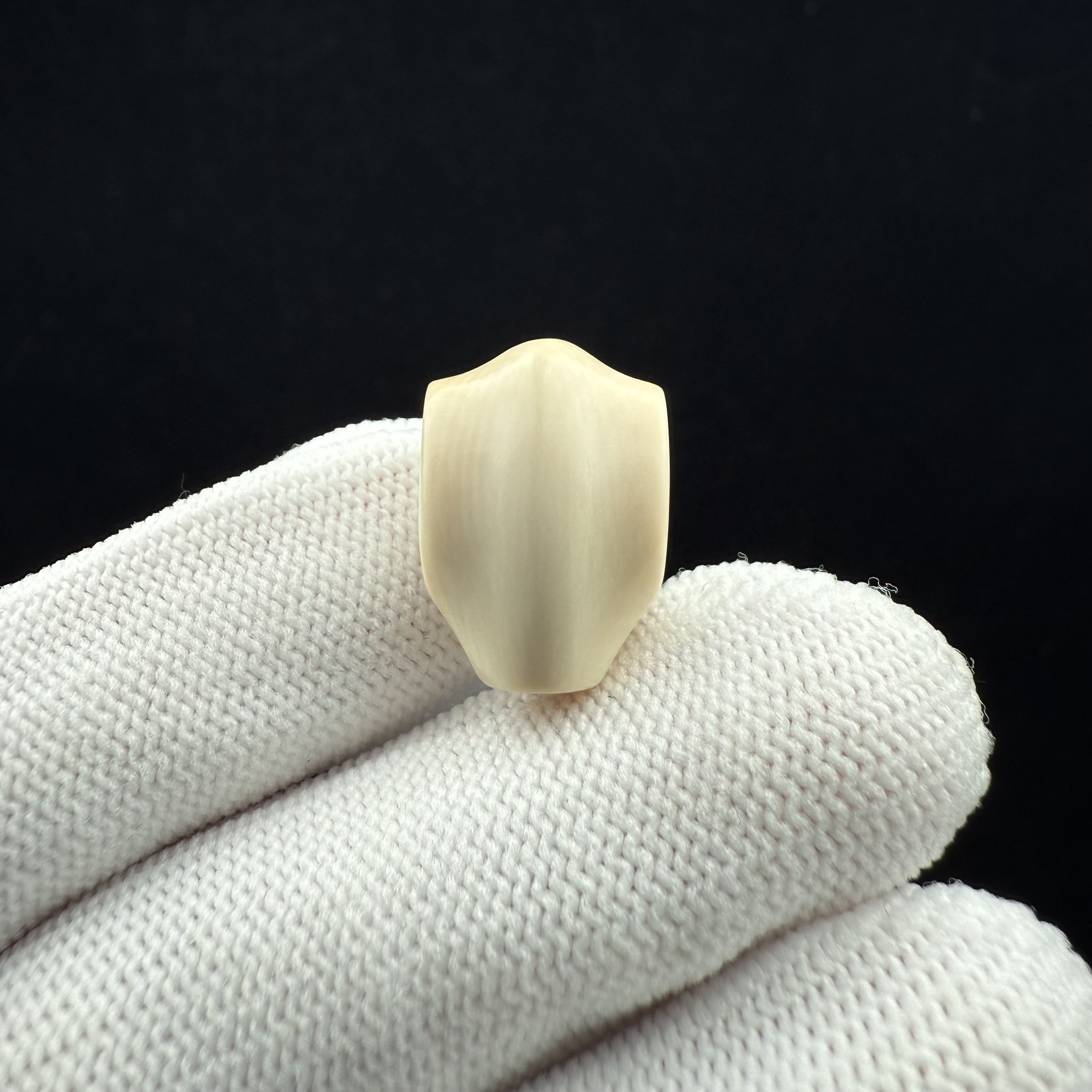 D22-46天然猛犸牙 鲨鱼背三通 12.9*18.3mm支持复检 假一罚十