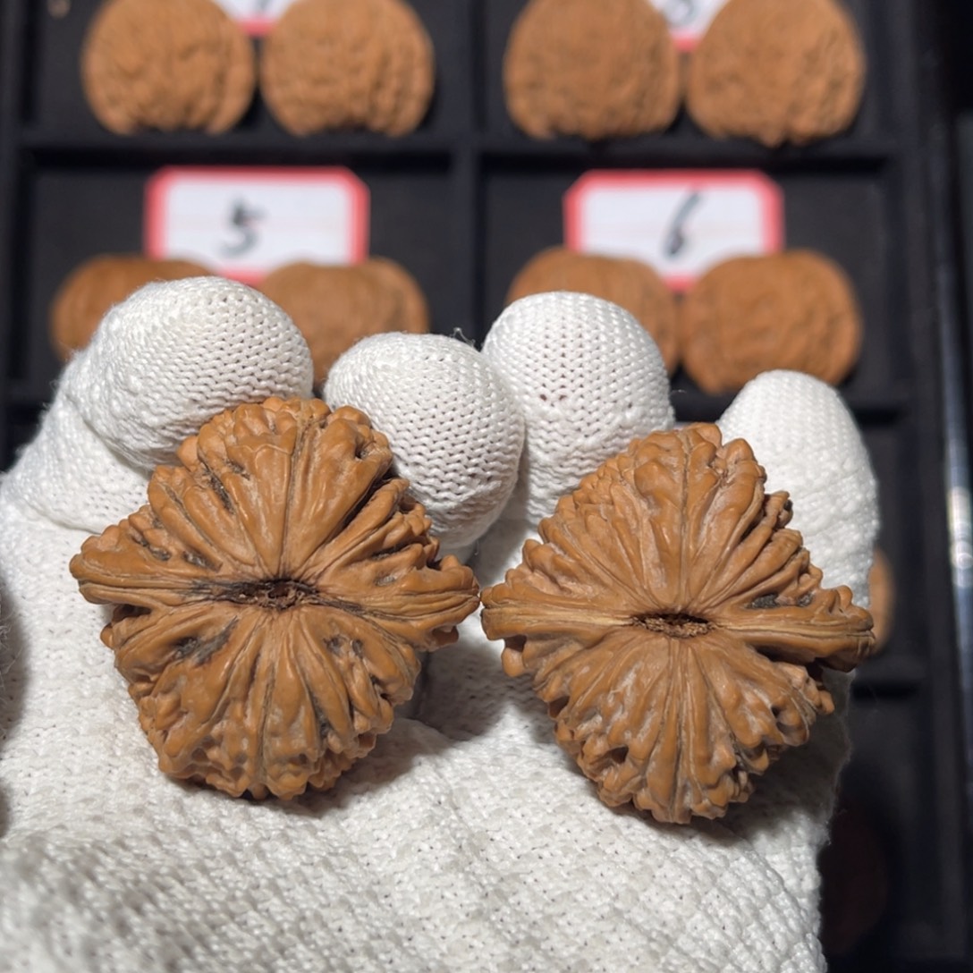 卡***丑文玩核桃吊坠04秦皇岛山地果全品
