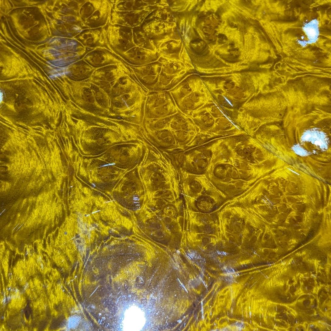 旭***～黄金樟888888888h h h