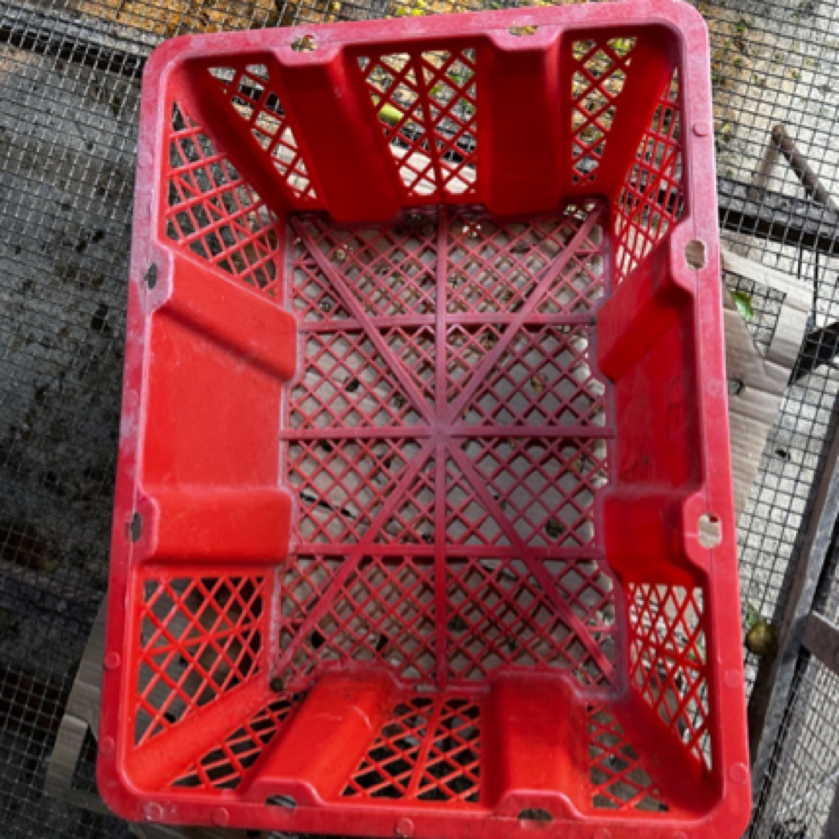 塑料制品3斤2个包装狮头镂空落地家用塑料筐