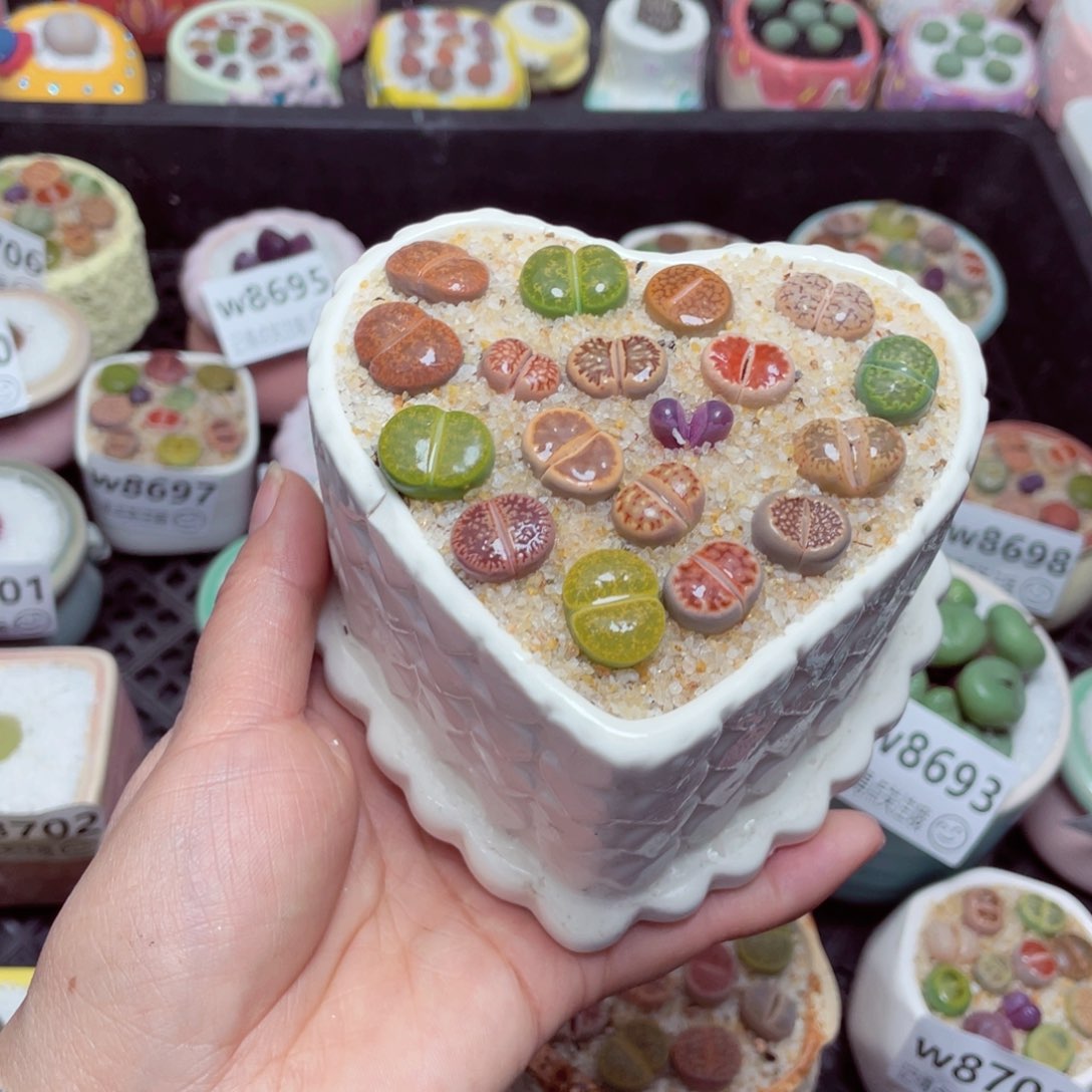 w8710 零下地区拍保温箱-15支持寄养