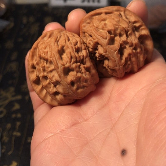 把件文玩核桃白狮子异型