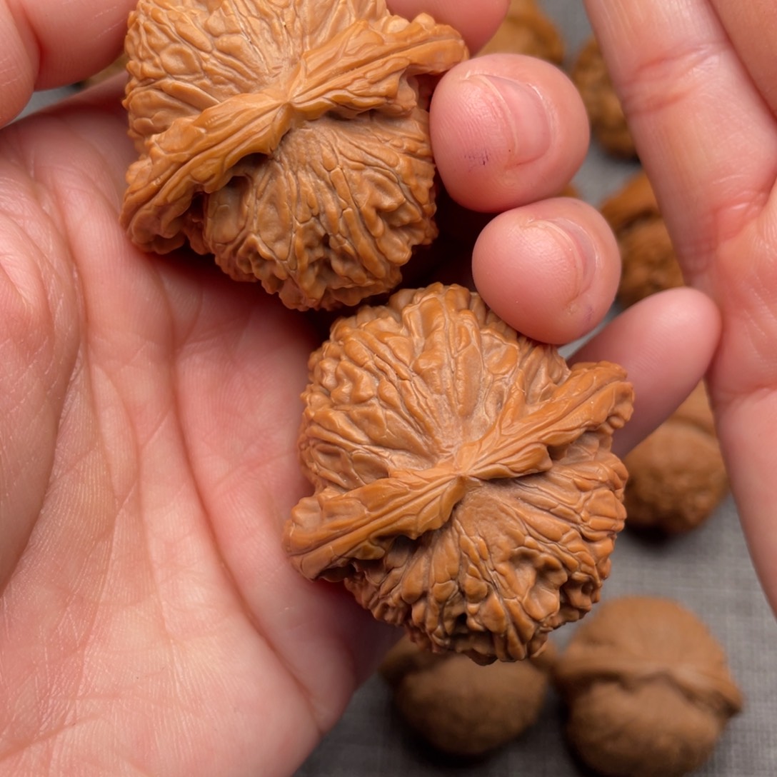 文玩核桃把件42老树球白