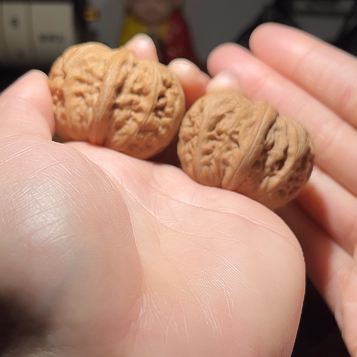 核桃元宝43全品文玩