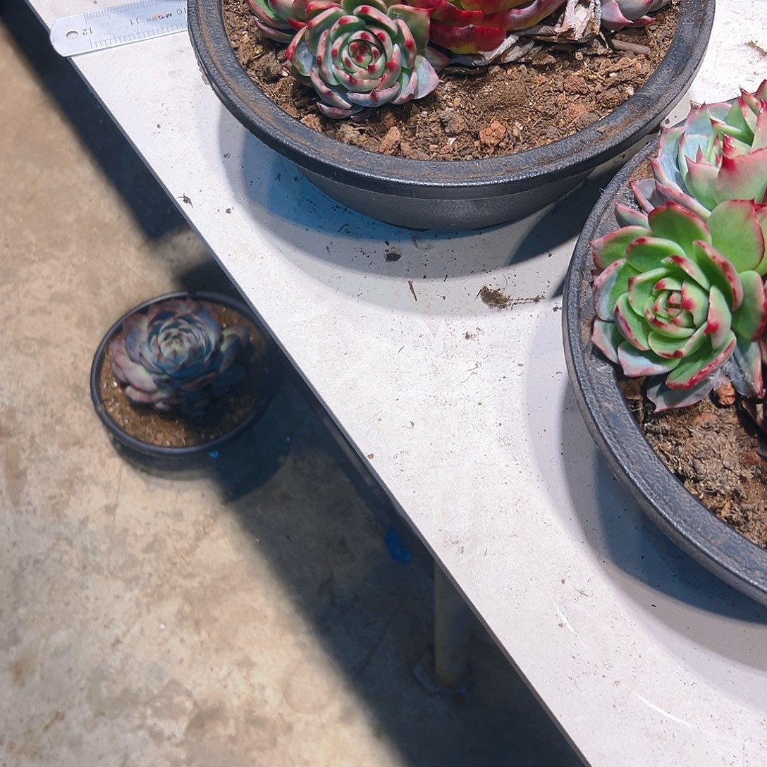 介***燕松土3467890875433