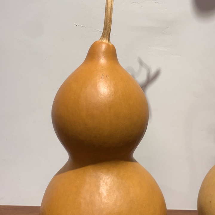 北***°中号尺寸的尺寸大小