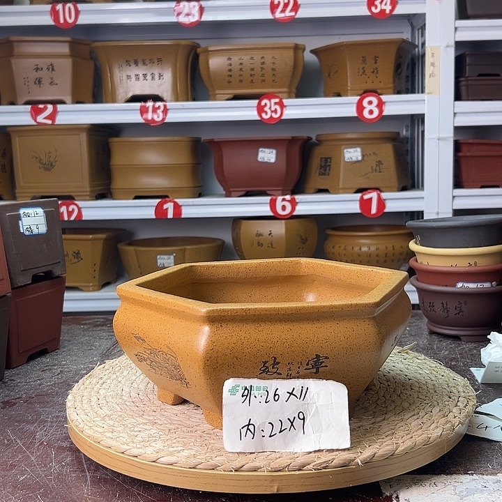 花盆紫砂蛇年大吉