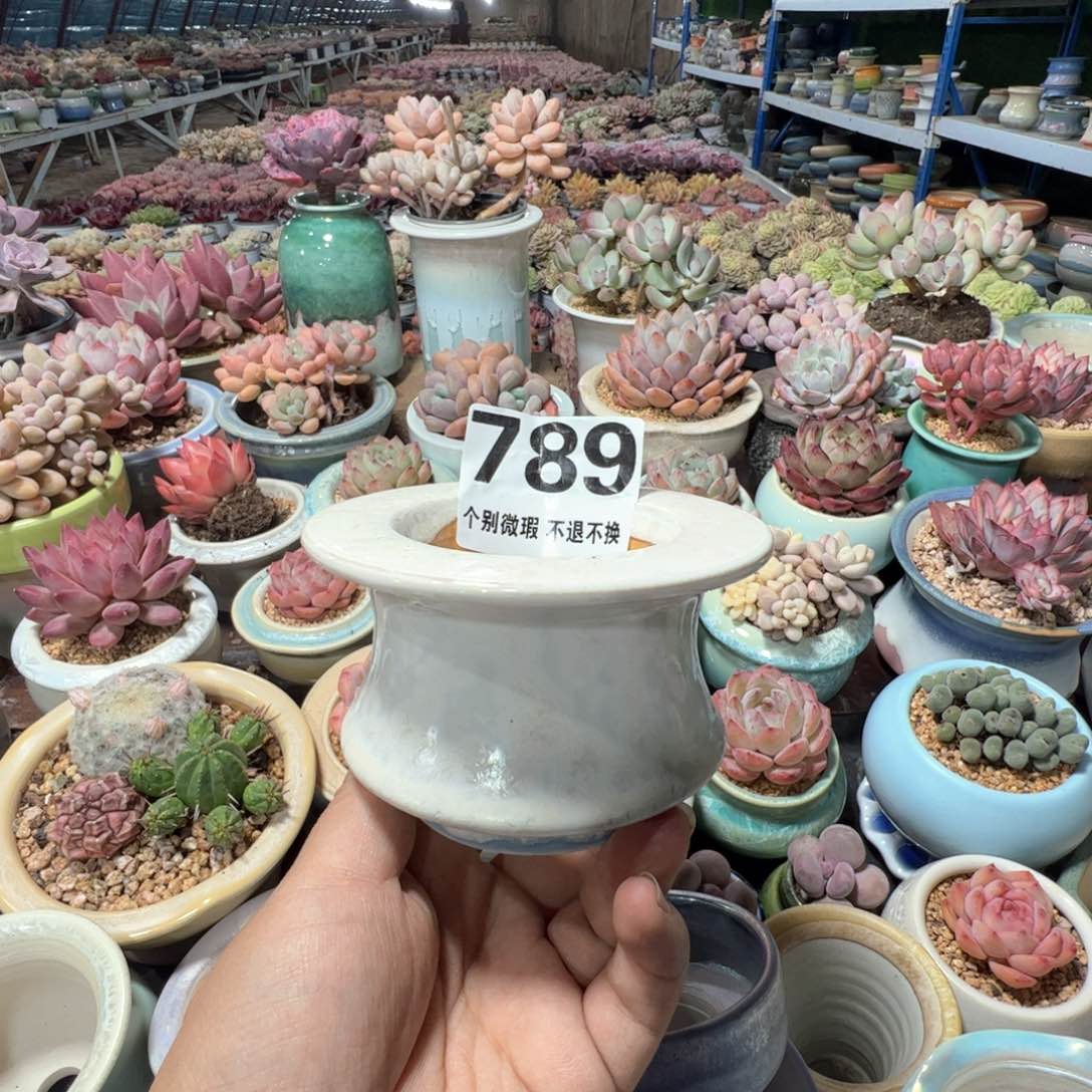 凑满50发货 内口6.5