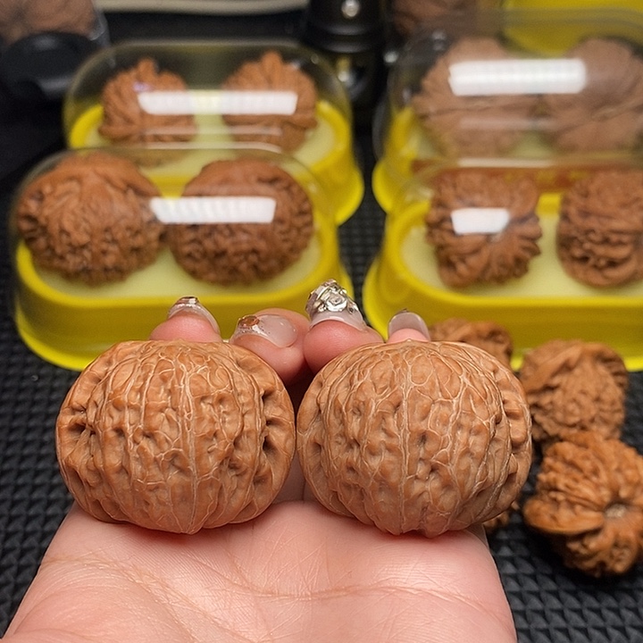 北***生41全品 铁锤           