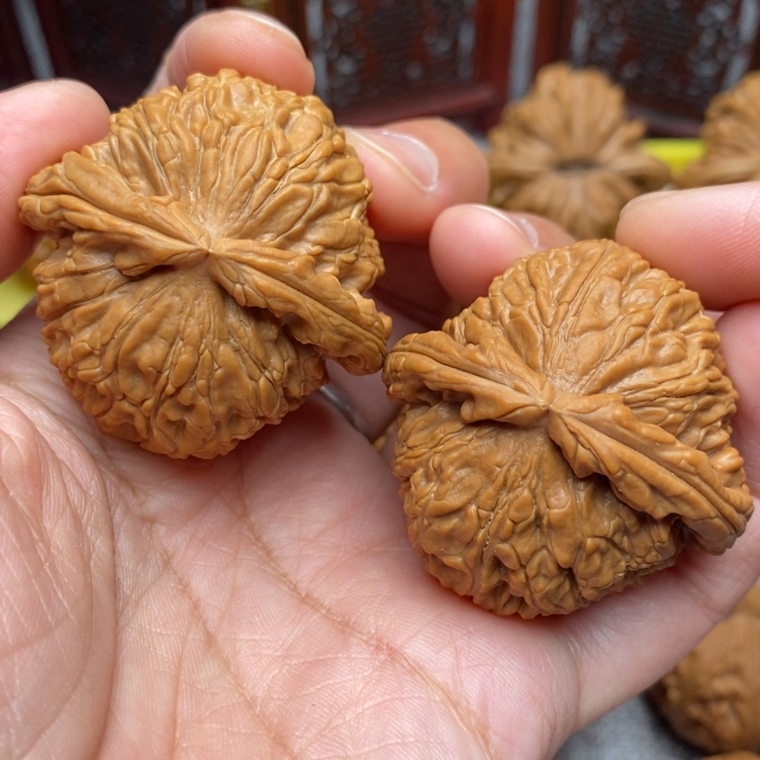 文玩核桃把件全品毕业绝配天花板白狮子粗棱41尺