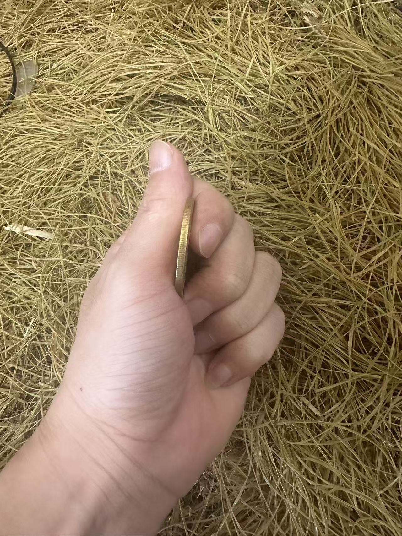 家居装饰龙精美摆件HP148