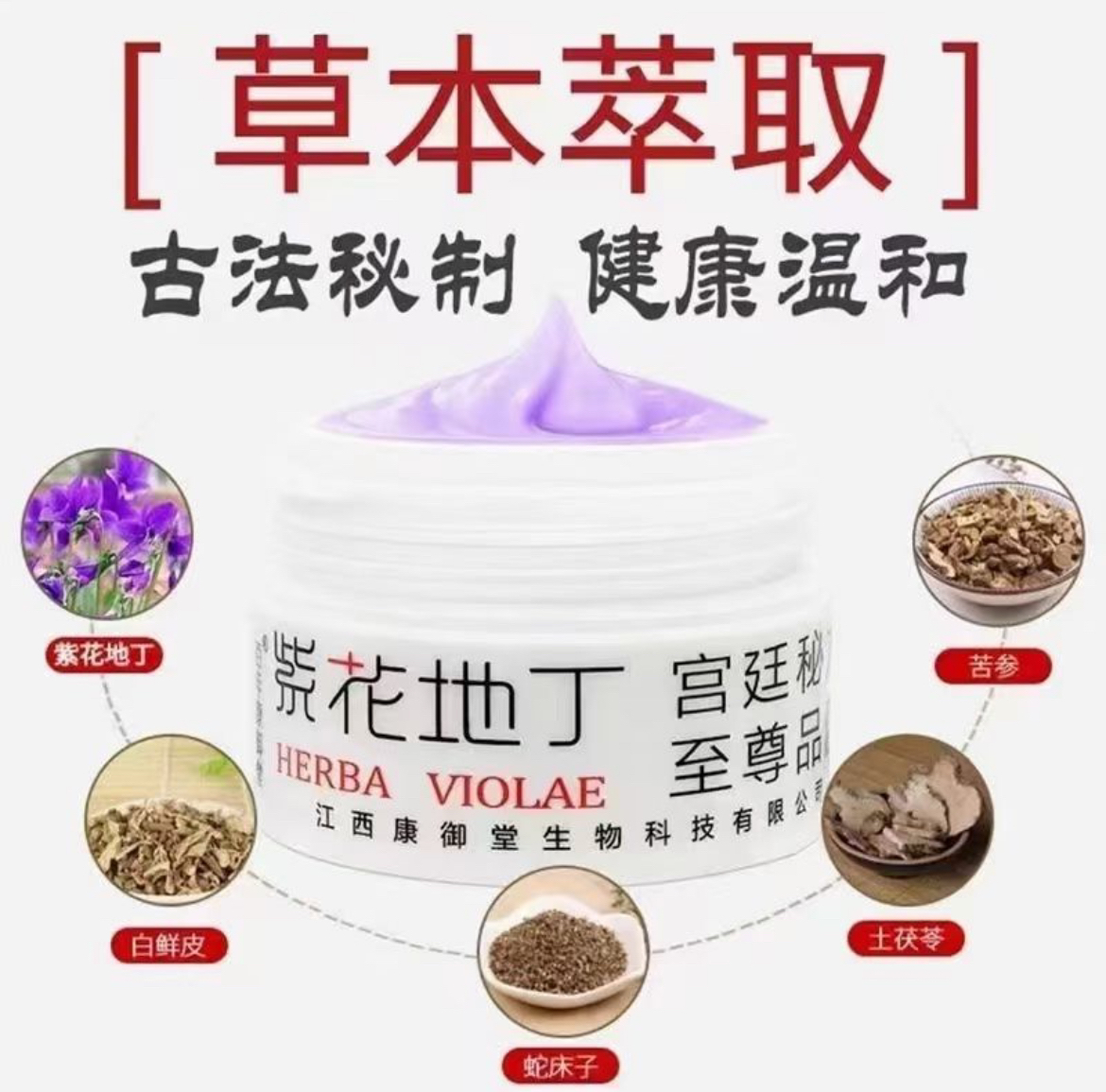 紫花地丁母婴专用