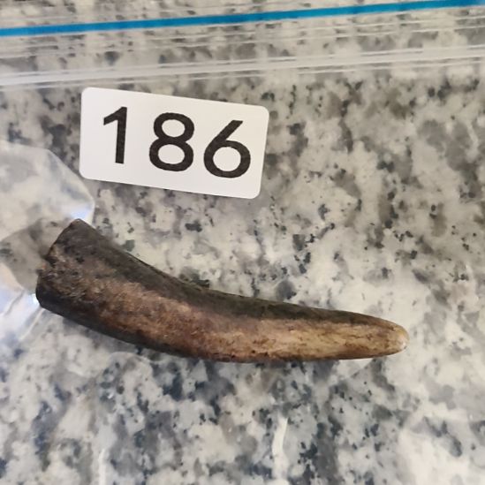 乔***山鹿角鹿角鹿角鹿角鹿角鹿角