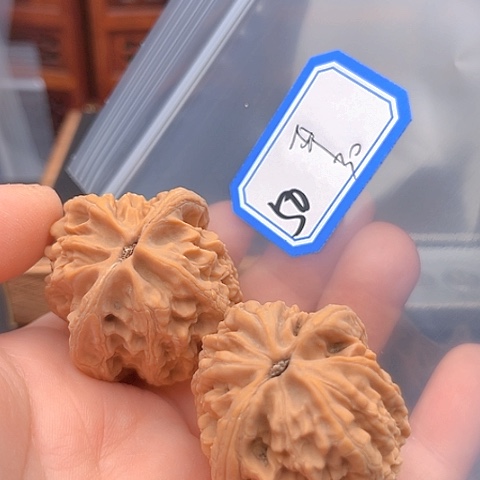 文玩核桃吊坠严**黑大沽石