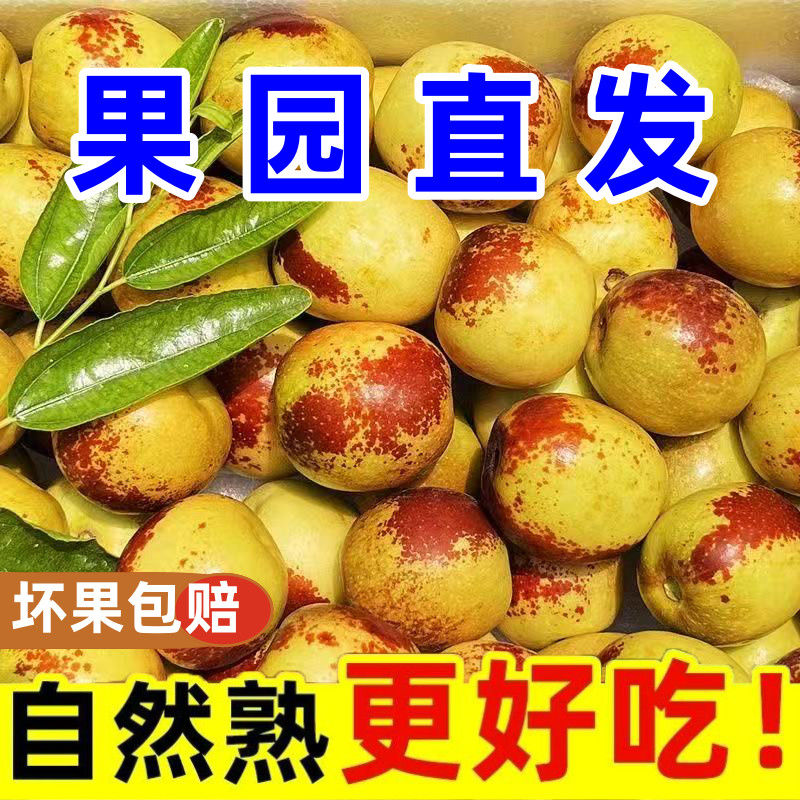 新鲜冬枣脆甜大果现摘当季水果正宗鲜枣大枣脆枣青红奶枣整箱批发
