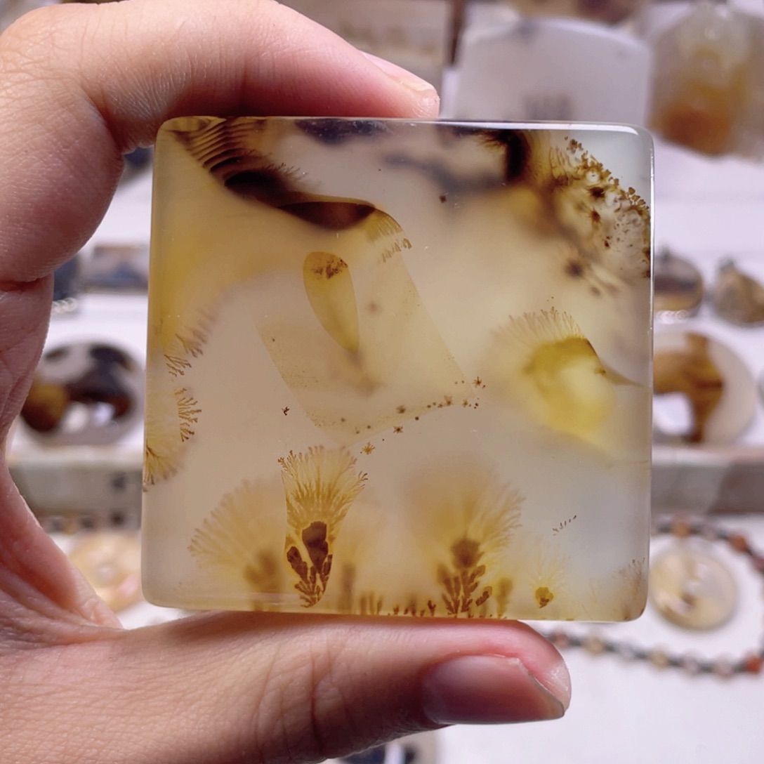 玛瑙/玉髓未镶嵌珠宝奇石