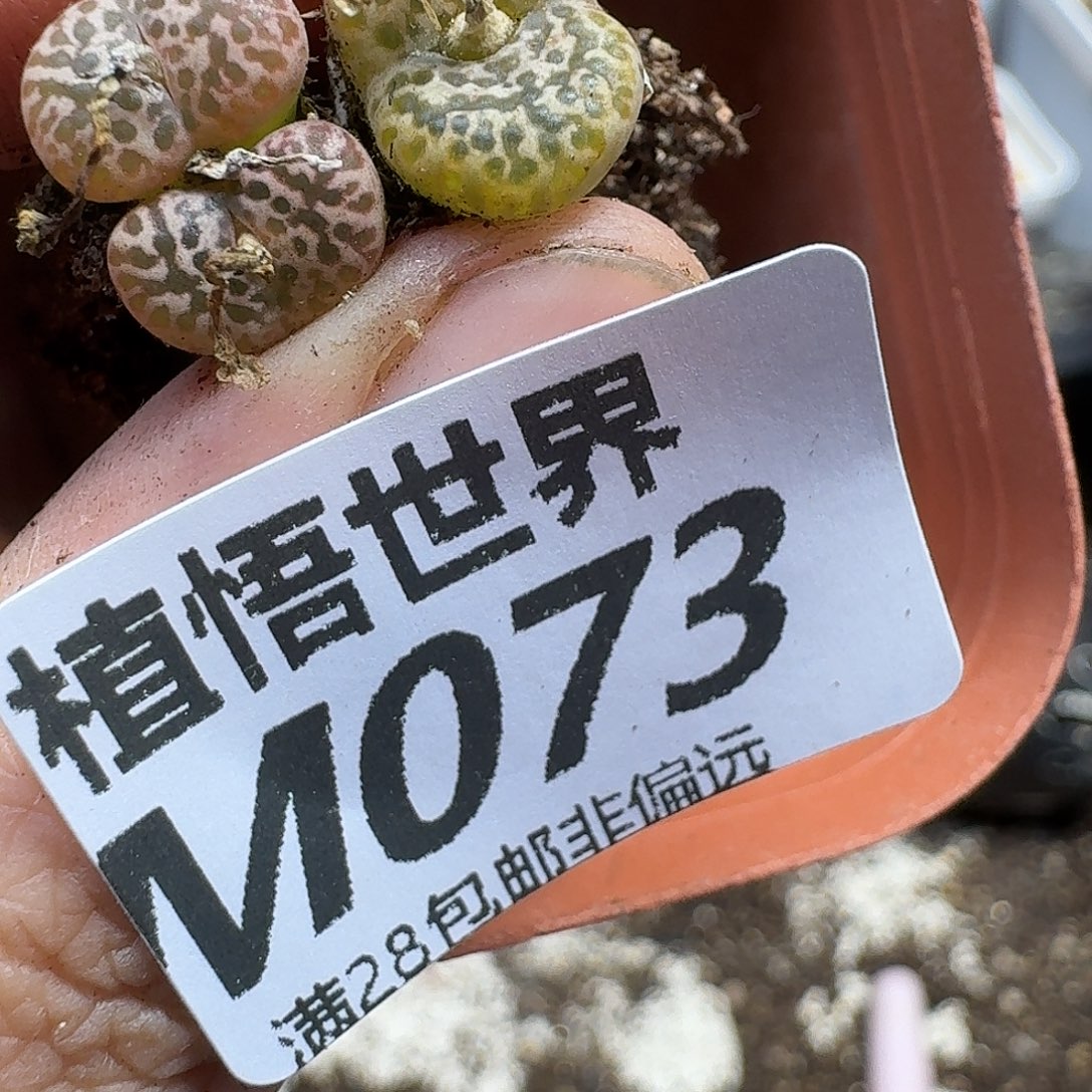 的润泽的润泽fghb