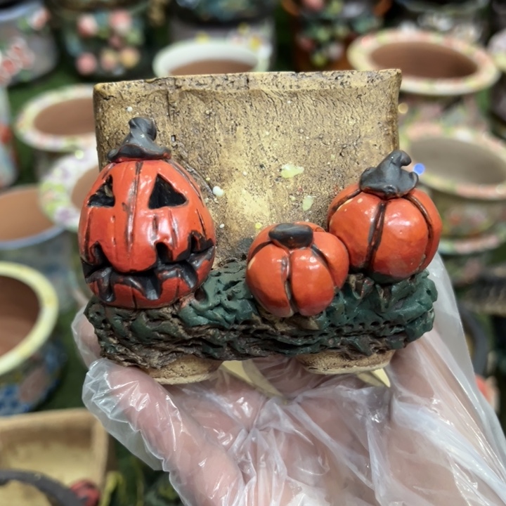 特价多肉花盆微瑕