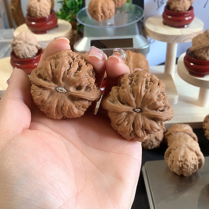 赵*岁大粗筋大粗筋大粗筋468