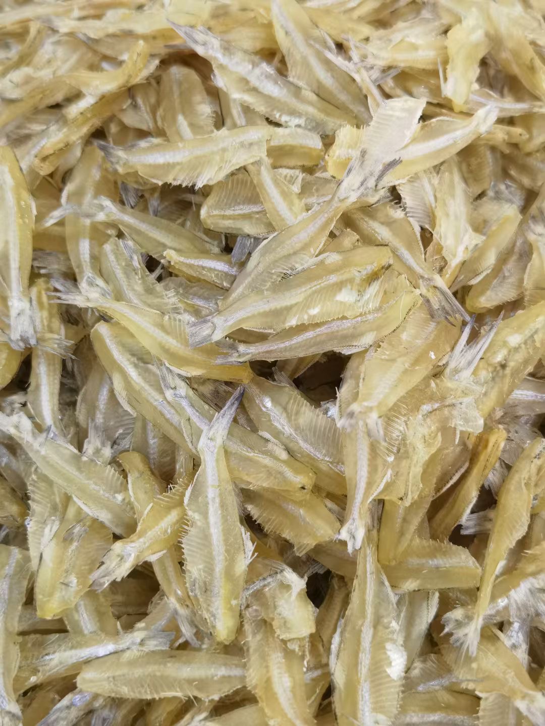 汕尾自晒大干鱼脯 水晶鱼干海燕鱼干白凡鱼干美味营养特色