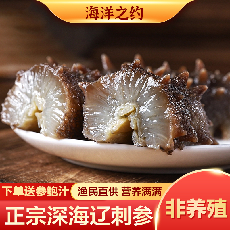 【鲜食海参1斤尝鲜】 大连海参开袋即食 海洋之约1斤10-12头