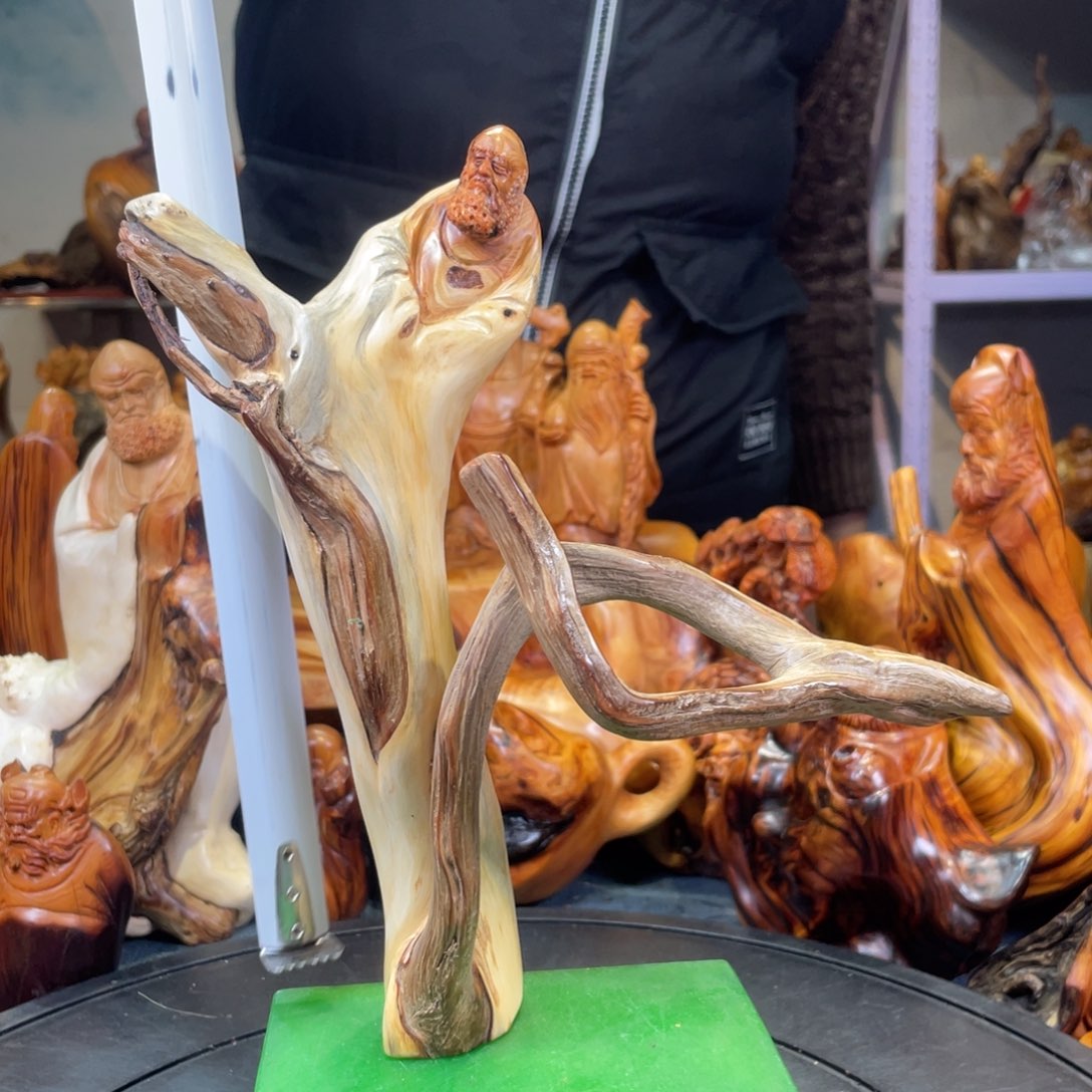 柏木（崖柏）。。。。。。。。