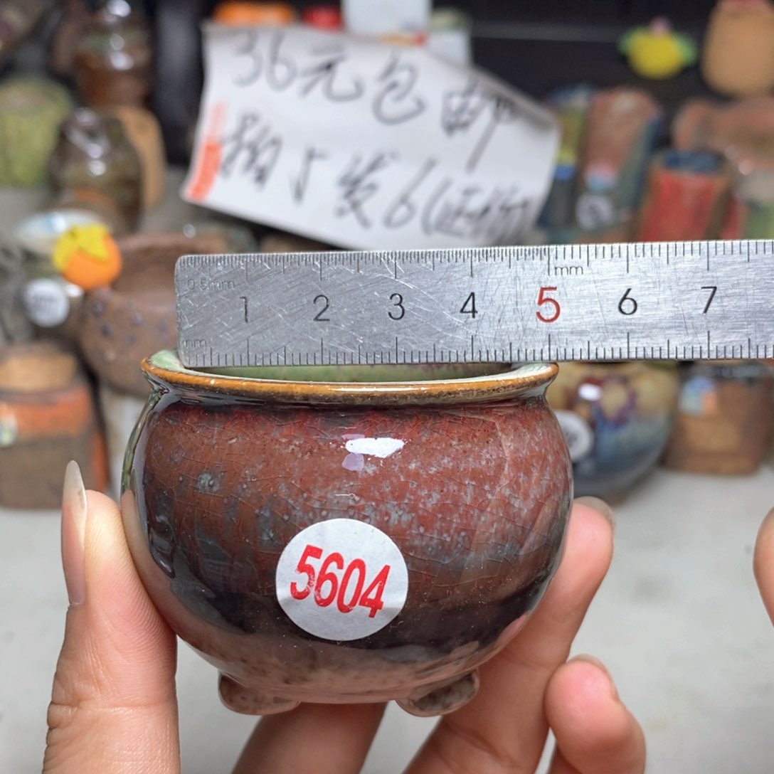 拍5送一个小礼物