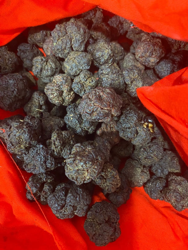 【莎莎专属土特产】蒂王果菇净含量100g