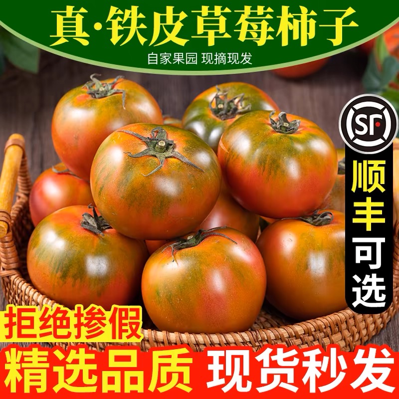 【次日达】盘锦碱地柿子铁皮柿子草莓番茄4斤顺丰包邮草莓番茄辽宁省辽宁省沈阳市