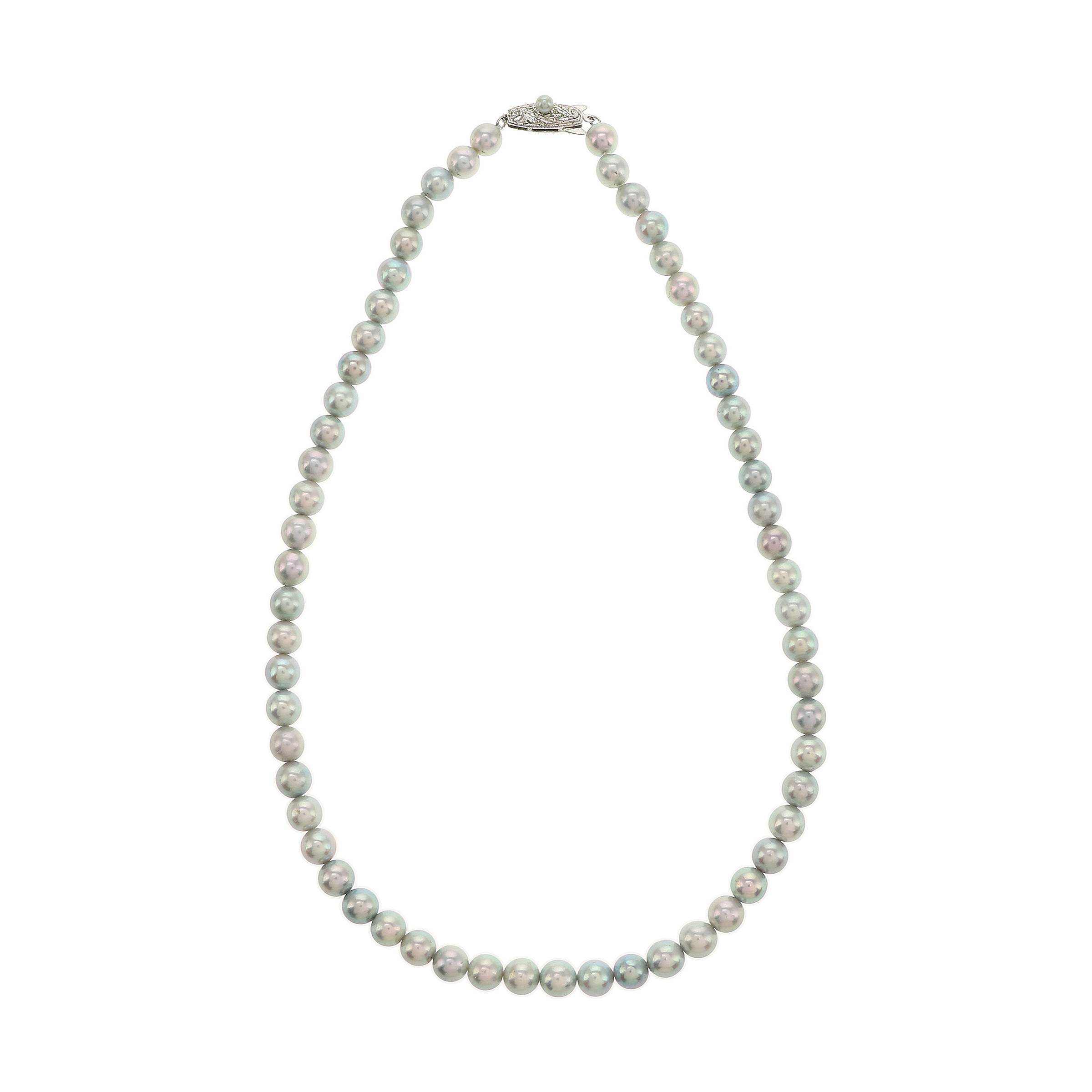 红布林/C1开箱/塔思琦/78895003/z/121632