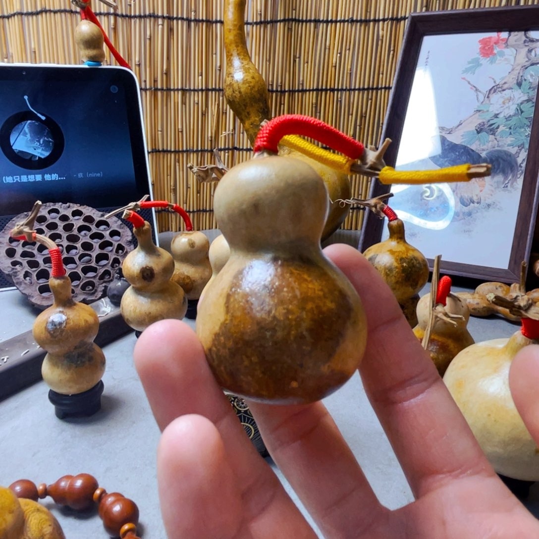 仓喜葫芦瓶子花皮