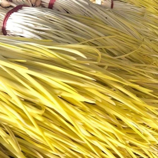 新鲜蒜黄 400g现采现发