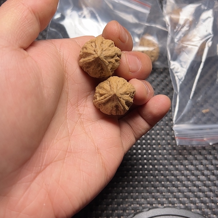 文玩核桃吊坠三棱