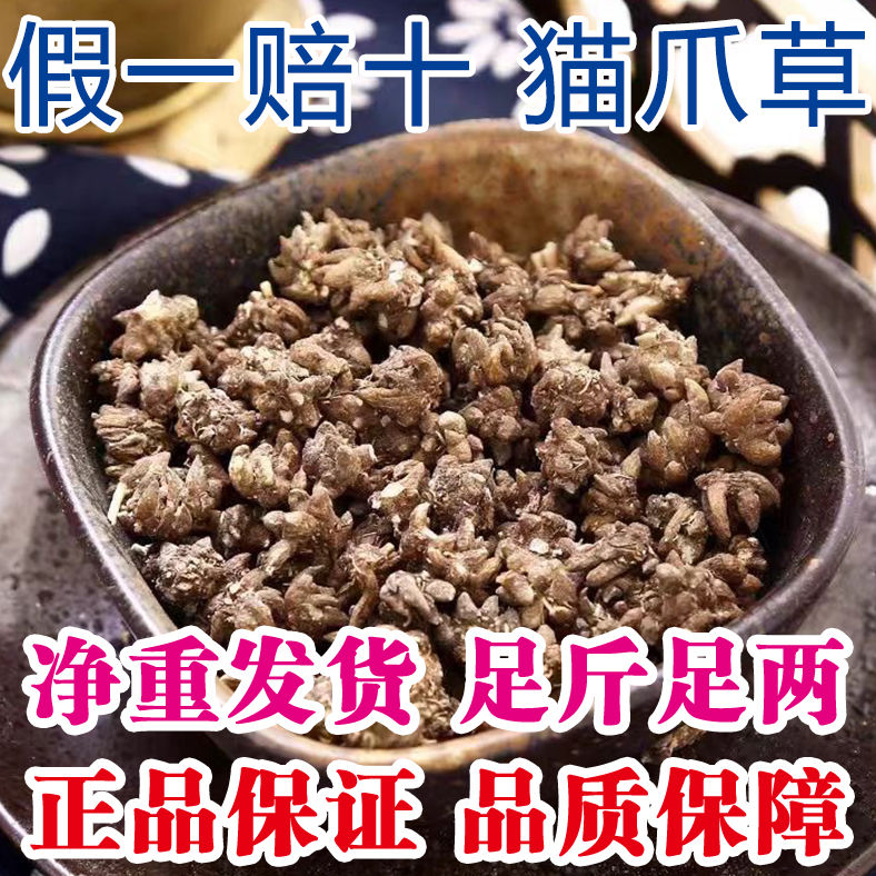 【种植猫爪草】猫爪草发源地纯天然猫爪草正宗正品干货水洗无硫新鲜