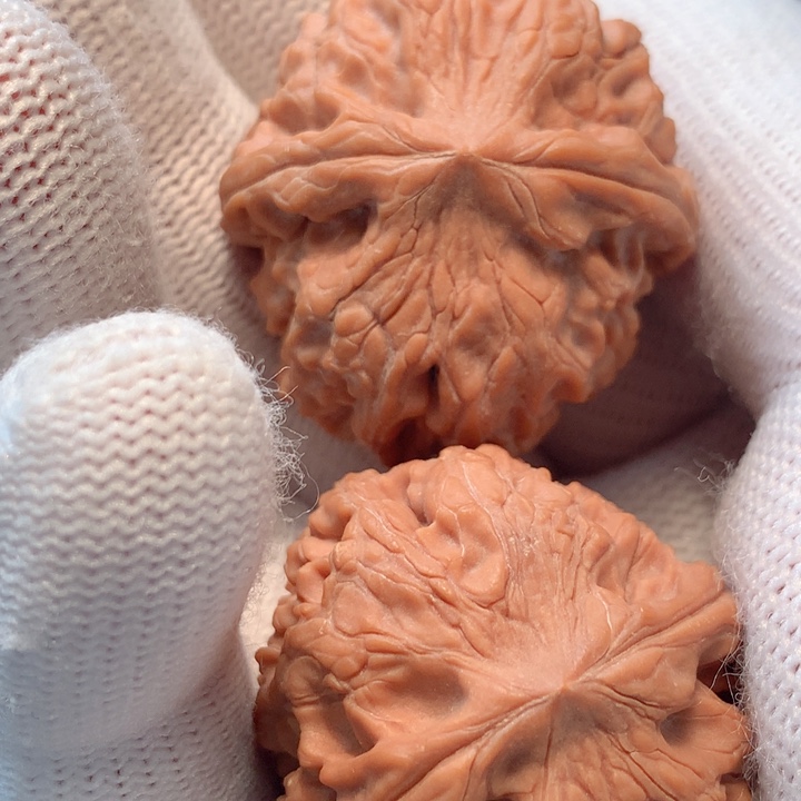 文玩核桃把件龙眼