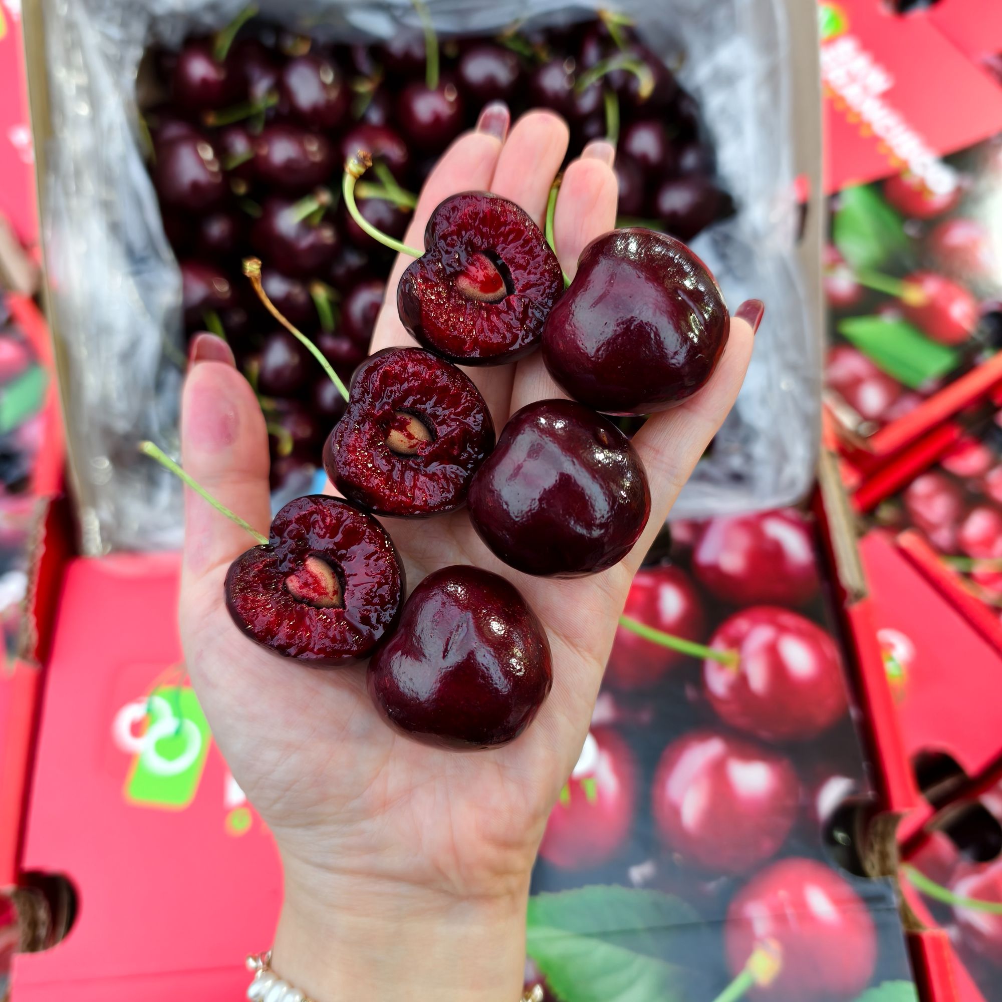 A安安【韩美丽】三藩市吉制海运3J桑提娜车厘子 爽甜多汁内附果径卡