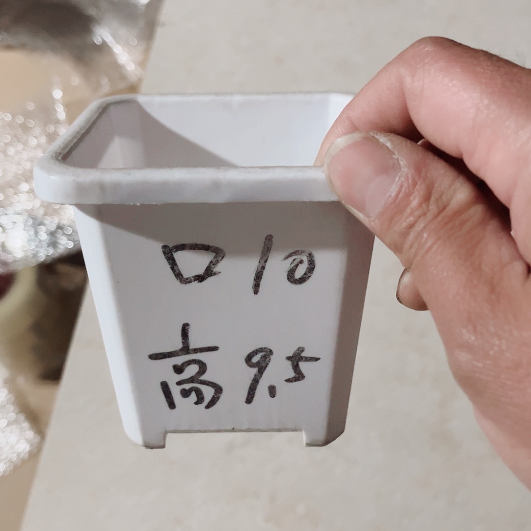 塑料升级款景天10方白色盆15个无托