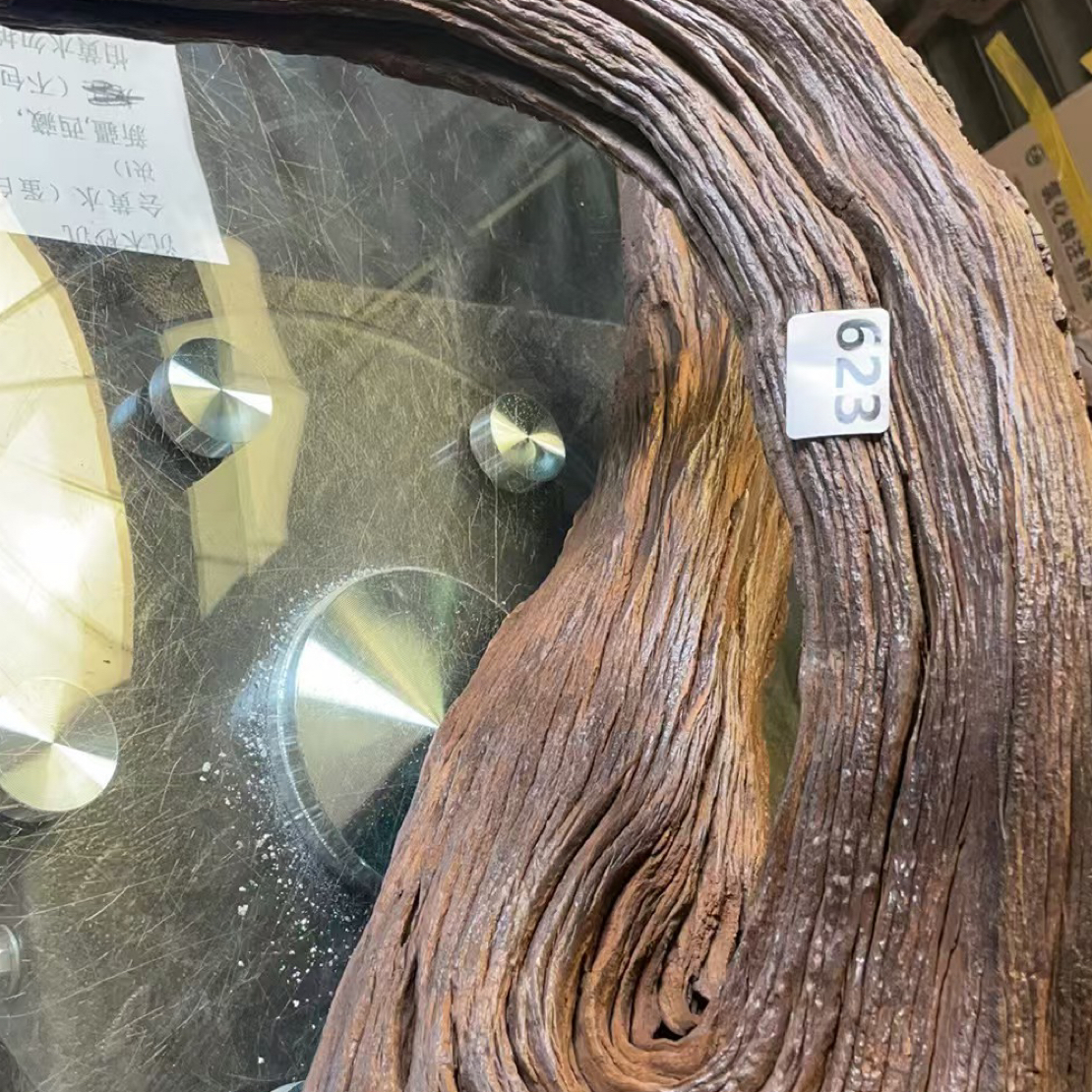 云南本地紫柚木623