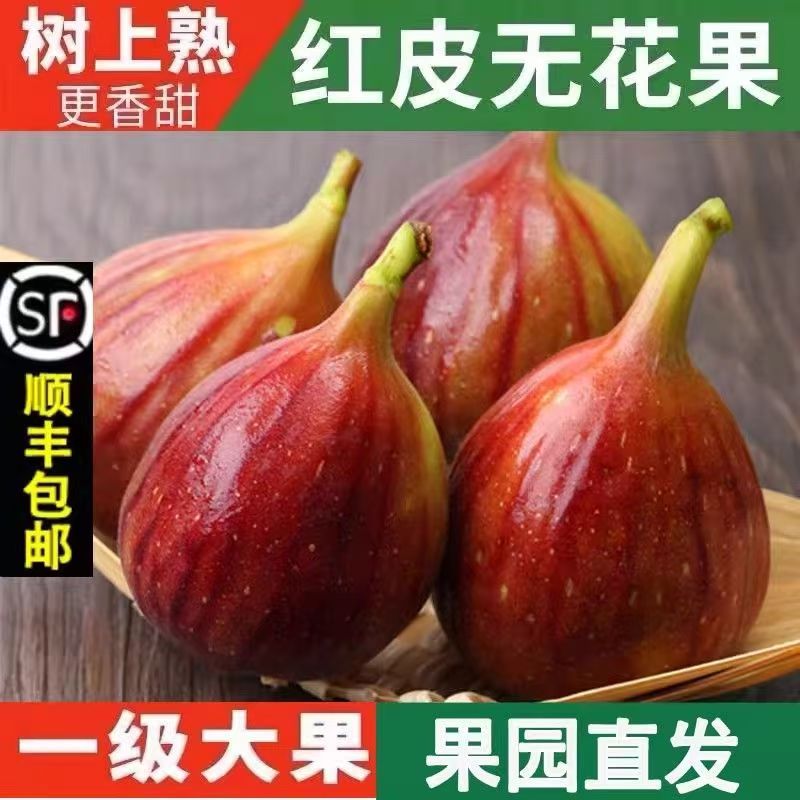 顺丰包邮新鲜波姬红大无花果当季时令水果软糯清甜新鲜现摘现发