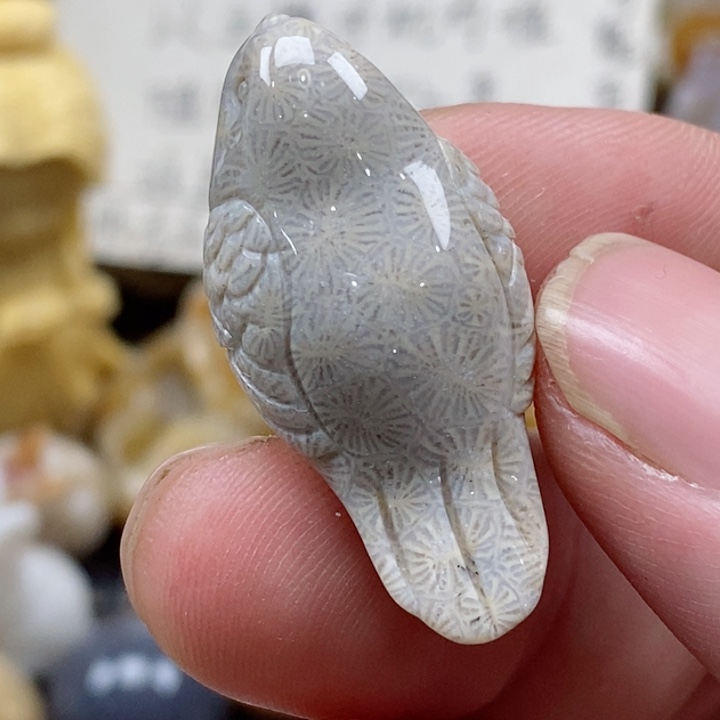 颈饰未镶嵌硅化珊瑚（珊瑚玉）小